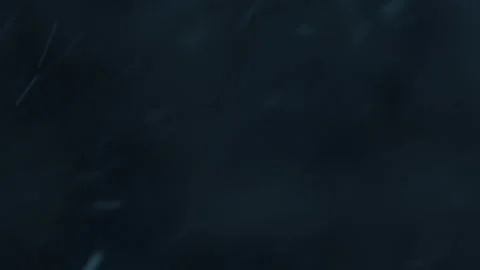 Snow falling in the forest Stock Footage 148398391