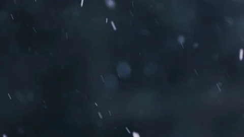 Snow falling in the forest Stock Footage 148398412