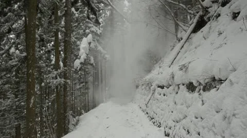 Snow falling on the forest path on the way to Jigokudani, Nagano, Japan. Vídeo Stock 11378006