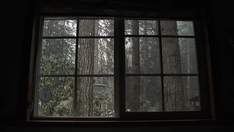 Snow Falling In Forest Through Cabin Windows Stock Footage 103611649