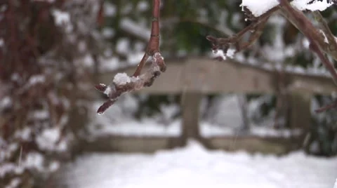 Snow falling in front of bench Stock Footage 3919724