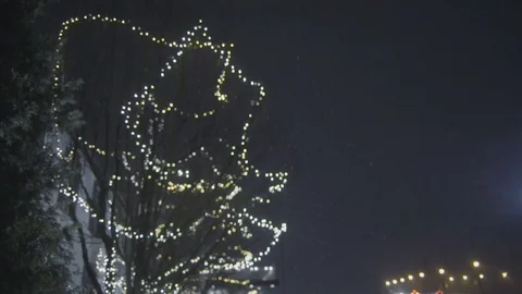 Snow Falling in front of Christmas Lights Stock Footage 83469229