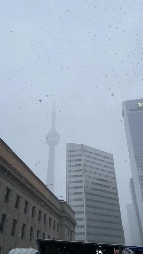 Snow falling in front of CN Tower in Toronto Vídeo Stock 323116765