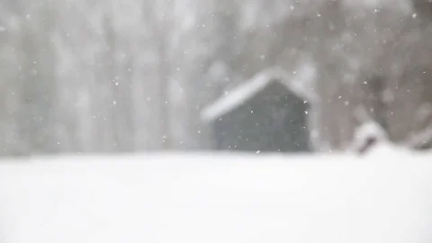 Snow falling in front of forest cabin upstate New York winter Stock Footage 73079684