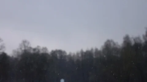 Snow falling in front of forest. 動画素材 98304782