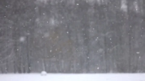 Snow falling in front of forest. 動画素材 98407271