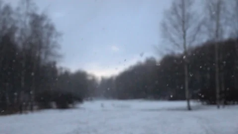 Snow falling in front of forest. Stock Footage 98427687