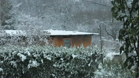 Snow falling in front of an old wooden cottage, surrounded by forest Stock Footage 206121333