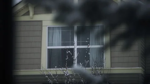 Snow falling in front of a suburban house in winter Stock Footage 294723435