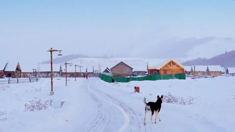 Snow Falling Gently Around a Rustic Wooden Cabin in Winter Wilderness Stock Footage 341914565
