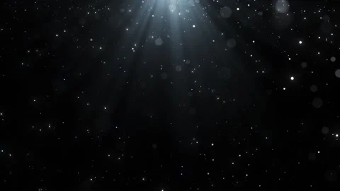 Snow Falling Glittering on Black Background Seamless. Christmas Twinkling Stars Stock Footage 319564128