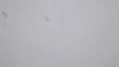 Snow falling from the gray sky and flying in the wind Stock Footage 104396682