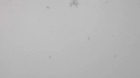 Snow is falling on gray sky background. Winter Stock Footage 165331153