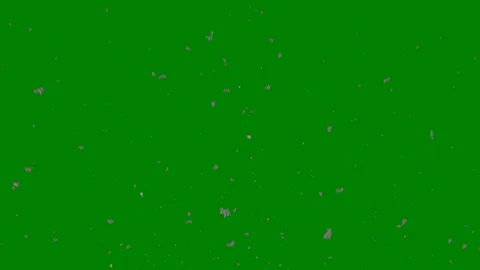 Snow falling green screen lots animated chromakey background composition motion Stockbeeldmateriaal 314064329