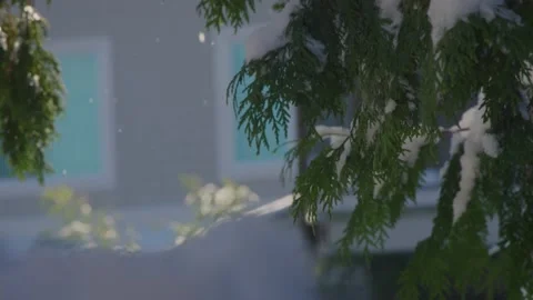Snow falling on green trees with sun through branches (Part 2).. Stock Footage 218278199