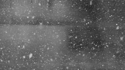 Snow falling heavily on the road 库存影片 235556866