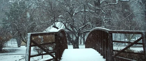 Snow falling heavily in Slow motion over tress in Nature Stock Footage 121489973