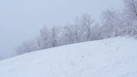 Snow falling hill slowmo Stock Footage 148341435