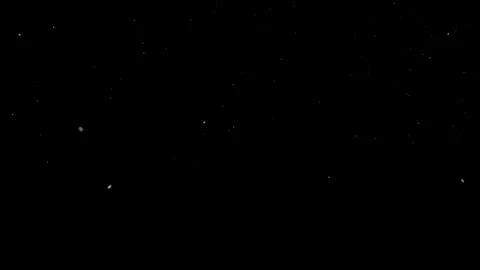 Snow falling - hitting ground Stock-Footage 289012286