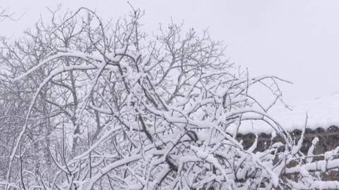 Snow falling on house and tree Stock Footage 166871137
