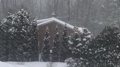 Snow falling with House and Trees landscape Stockbeeldmateriaal 327670175