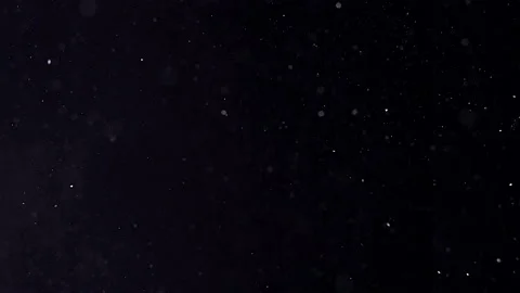 Snow falling isolated on black background in 4K for photo editing, motion graphi Stock Footage 233242165