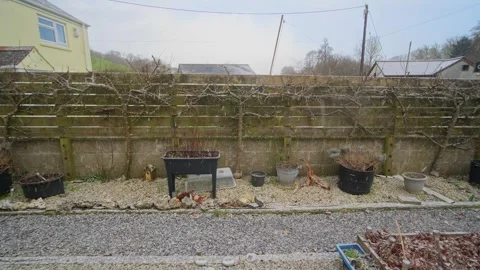 Snow falling in January in Cornwall, UK with blue skies Stock-Footage 262437602