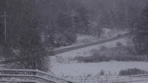 Snow Falling Landscape Road Stock Footage 71151361