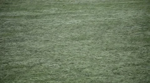 Snow falling on lawn (pan) Stock Footage 10736650