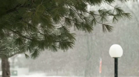 Snow Falling with Light Stock Footage 46227459