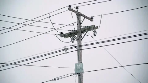 Snow Falling On A Light Pole Vídeos de archivo 147943763