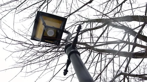 Snow falling on a light post, in slow motion Stock Footage 89442249