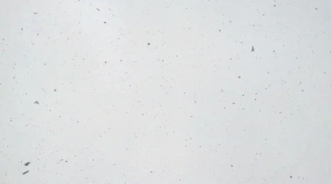 Snow Falling Looped Video Stock Footage 57694892
