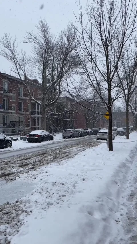 Snow falling in Montreal Vídeo Stock 323116517