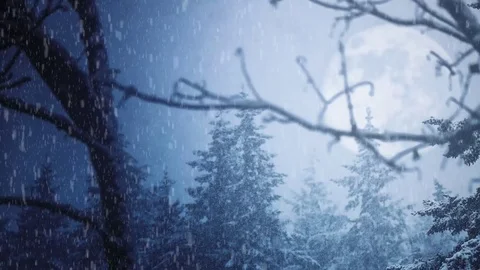 Snow Falling Moon Forest Night Stock Footage 85449923