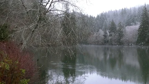 Snow falling on mountain lake in Olympic Peninsula Wa. State 動画素材 72869911