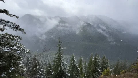 Snow Falling Onto Mountains And Forest During Mt Storm King Hike In Stock Footage 209917123