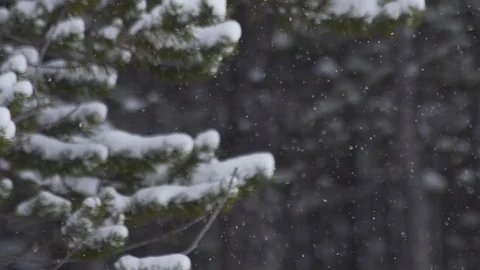 Snow Falling In Mountains In Slow Motion Vídeo Stock 105186674