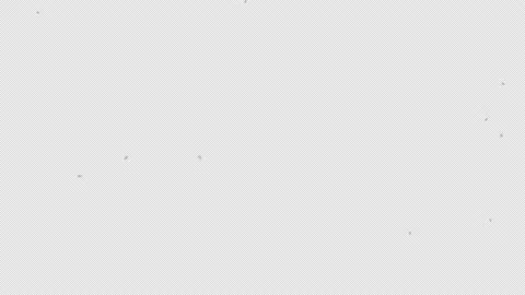 Snow Falling Naturally Captured with Alpha Channel Background Stock Footage 217431140