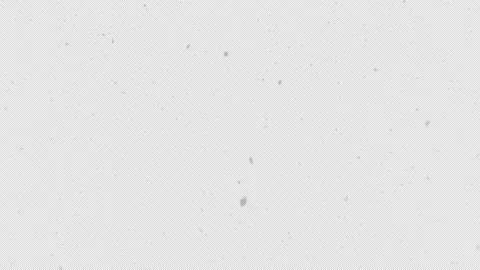 Snow Falling Naturally Captured with Alpha Channel Background Stock Footage 217431193