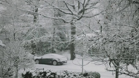 Snow Falling on Neighborhood Stock Footage 71139992
