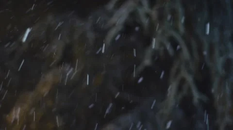 Snow Falling At Night 03 Stock Footage 63845668