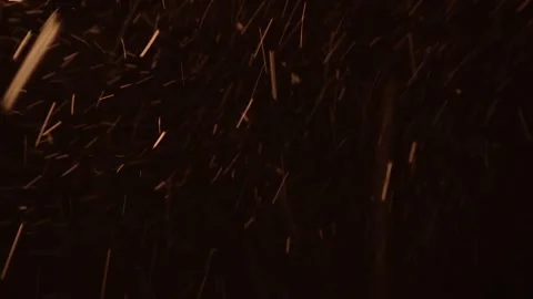 Snow Falling at Night on Black Background with Wind and Isolated Snowflakes Stock Footage 325448985