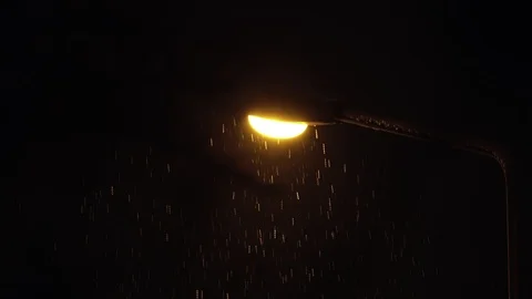 Snow falling in the night city Stock Footage 100543766
