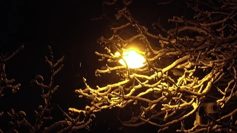 Snow falling in the night city Stock-Footage 100543884