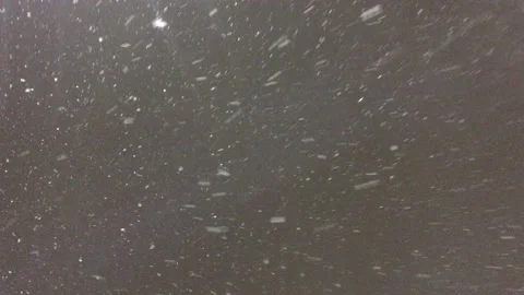 Snow Falling at Night Video stock 101202603