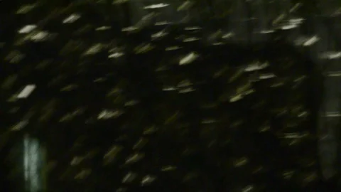 Snow falling at night Stock Footage 102253710