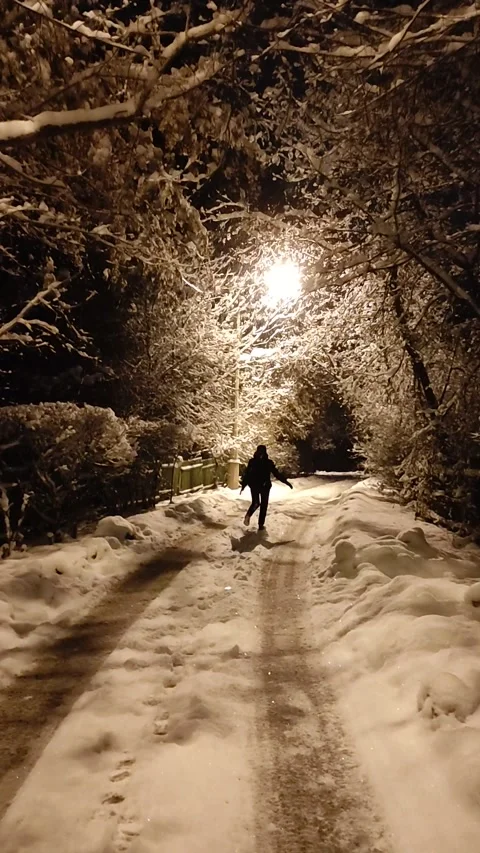 Snow Falling At Night Stock Footage 221604308