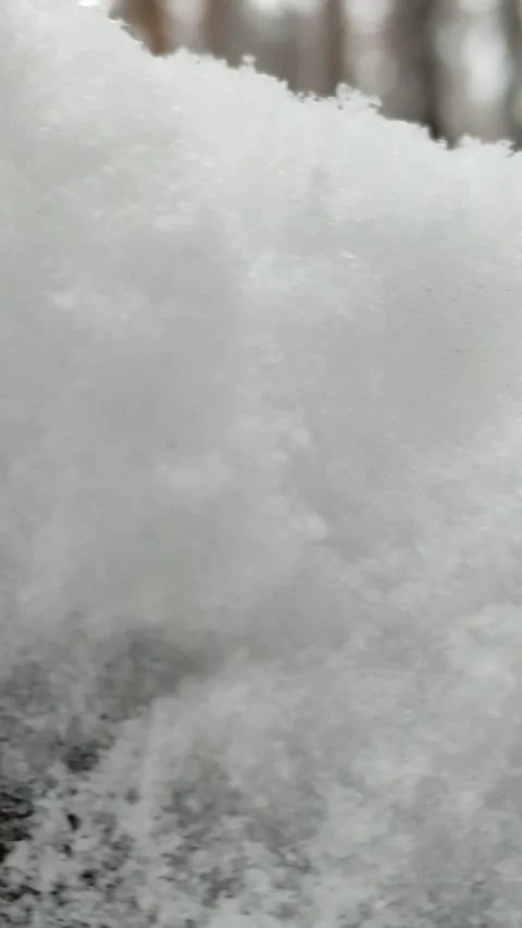 Snow Falling At Night Stock Footage 221604351