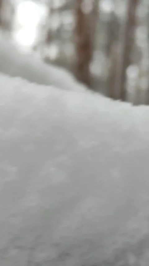 Snow Falling At Night Stock Footage 221604353